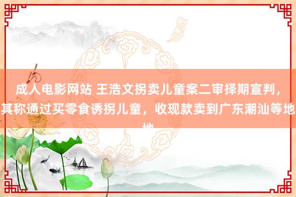 成人电影网站 王浩文拐卖儿童案二审择期宣判，其称通过买零食诱拐儿童，收现款卖到广东潮汕等地