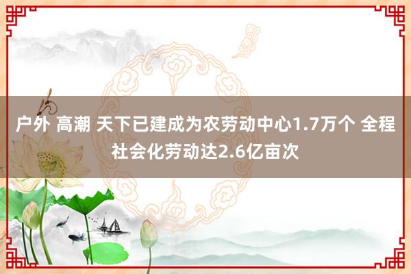 户外 高潮 天下已建成为农劳动中心1.7万个 全程社会化劳动达2.6亿亩次