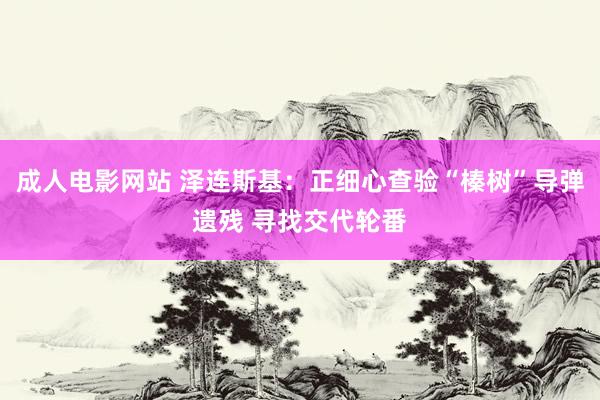 成人电影网站 泽连斯基：正细心查验“榛树”导弹遗残 寻找交代轮番