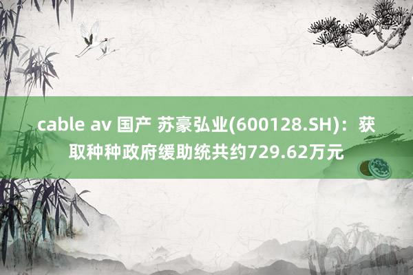 cable av 国产 苏豪弘业(600128.SH)：获取种种政府缓助统共约729.62万元