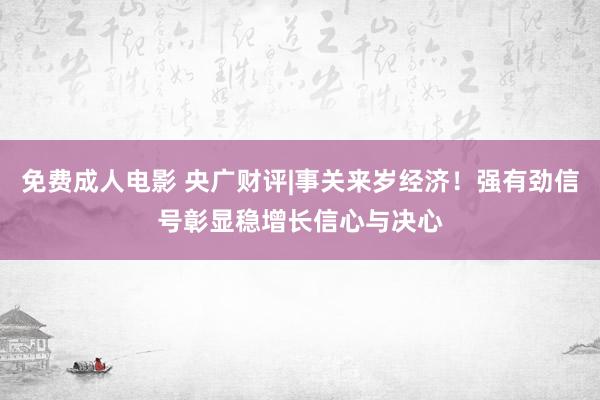 免费成人电影 央广财评|事关来岁经济！强有劲信号彰显稳增长信心与决心