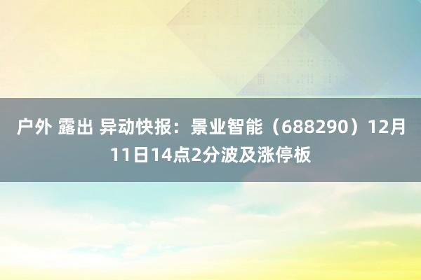 户外 露出 异动快报：景业智能（688290）12月11日14点2分波及涨停板