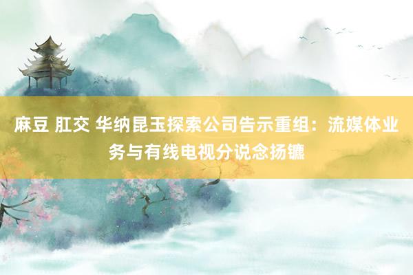 麻豆 肛交 华纳昆玉探索公司告示重组：流媒体业务与有线电视分说念扬镳