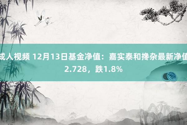 成人视频 12月13日基金净值：嘉实泰和搀杂最新净值2.728，跌1.8%