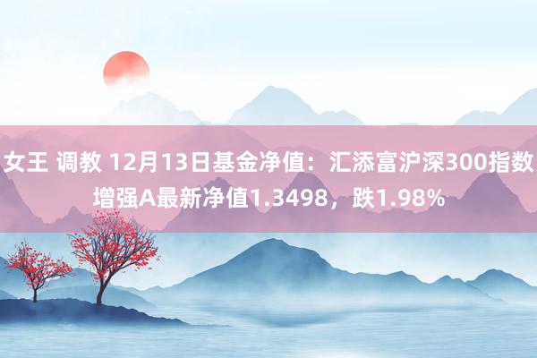 女王 调教 12月13日基金净值：汇添富沪深300指数增强A最新净值1.3498，跌1.98%