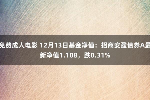 免费成人电影 12月13日基金净值：招商安盈债券A最新净值1.108，跌0.31%