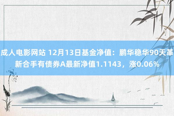 成人电影网站 12月13日基金净值：鹏华稳华90天革新合手有债券A最新净值1.1143，涨0.06%