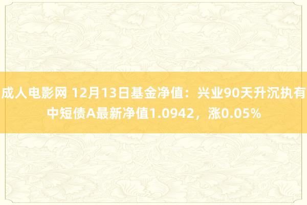 成人电影网 12月13日基金净值：兴业90天升沉执有中短债A最新净值1.0942，涨0.05%