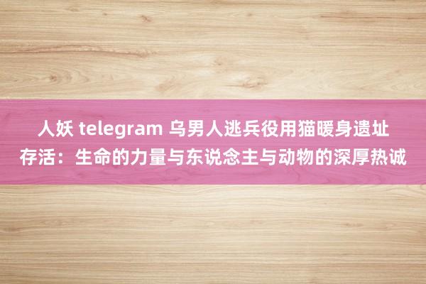 人妖 telegram 乌男人逃兵役用猫暖身遗址存活：生命的力量与东说念主与动物的深厚热诚