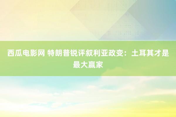 西瓜电影网 特朗普锐评叙利亚政变：土耳其才是最大赢家