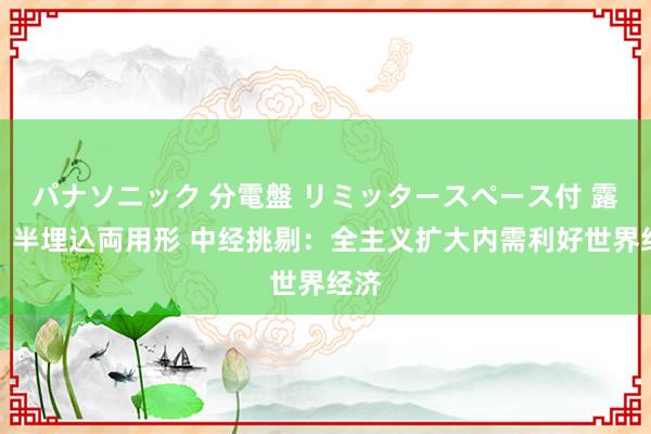 パナソニック 分電盤 リミッタースペース付 露出・半埋込両用形 中经挑剔：全主义扩大内需利好世界经济