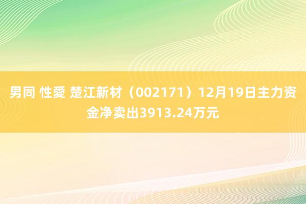 男同 性愛 楚江新材（002171）12月19日主力资金净卖出3913.24万元