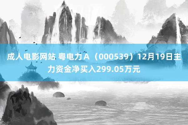 成人电影网站 粤电力Ａ（000539）12月19日主力资金净买入299.05万元