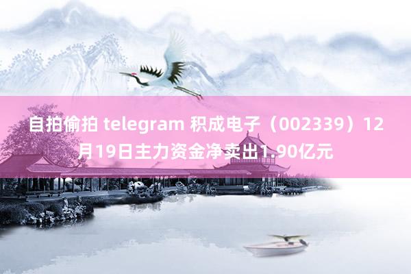 自拍偷拍 telegram 积成电子（002339）12月19日主力资金净卖出1.90亿元