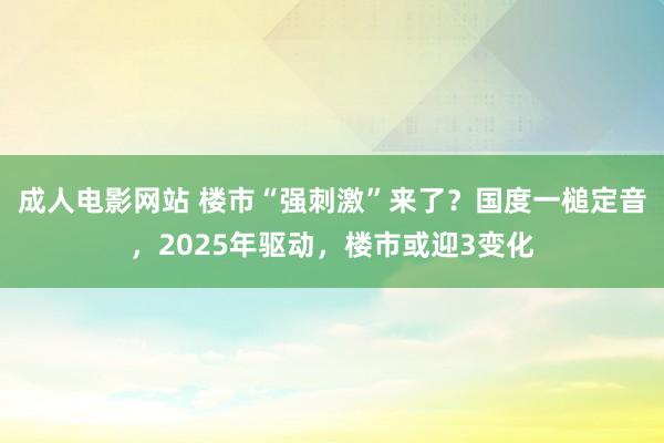 成人电影网站 楼市“强刺激”来了？国度一槌定音，2025年驱动，楼市或迎3变化