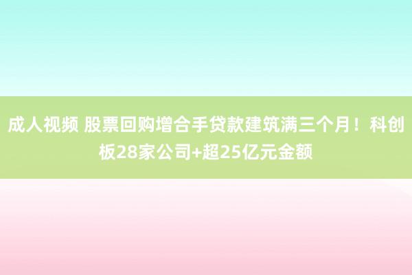 成人视频 股票回购增合手贷款建筑满三个月！科创板28家公司+超25亿元金额