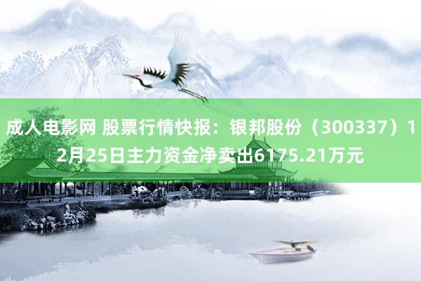 成人电影网 股票行情快报：银邦股份（300337）12月25日主力资金净卖出6175.21万元