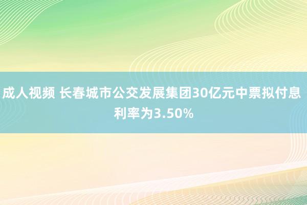 成人视频 长春城市公交发展集团30亿元中票拟付息 利率为3.50%