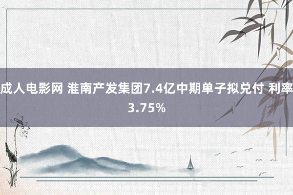 成人电影网 淮南产发集团7.4亿中期单子拟兑付 利率3.75%