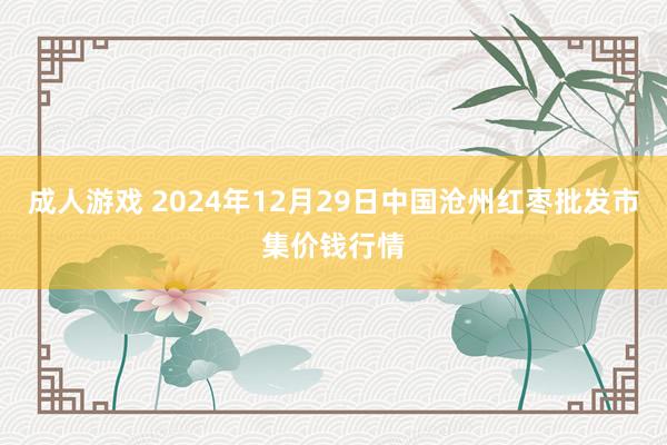 成人游戏 2024年12月29日中国沧州红枣批发市集价钱行情