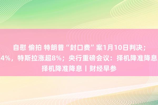 自慰 偷拍 特朗普“封口费”案1月10日判决；英伟达涨超4%，特斯拉涨超8%；央行重磅会议：择机降准降息丨财经早参