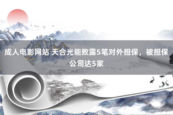 成人电影网站 天合光能败露5笔对外担保，被担保公司达5家