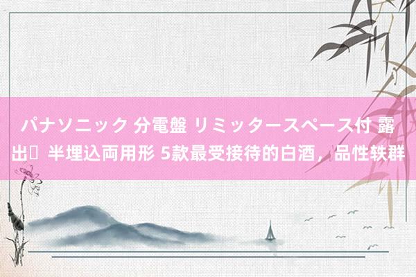 パナソニック 分電盤 リミッタースペース付 露出・半埋込両用形 5款最受接待的白酒，品性轶群