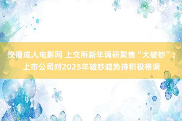 快播成人电影网 上交所新年调研聚焦“大破钞”：上市公司对2025年破钞趋势持积极格调