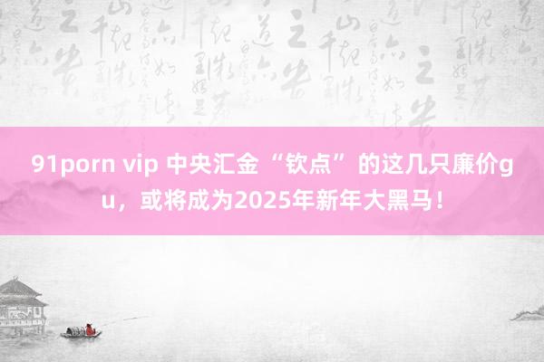 91porn vip 中央汇金 “钦点” 的这几只廉价gu，或将成为2025年新年大黑马！