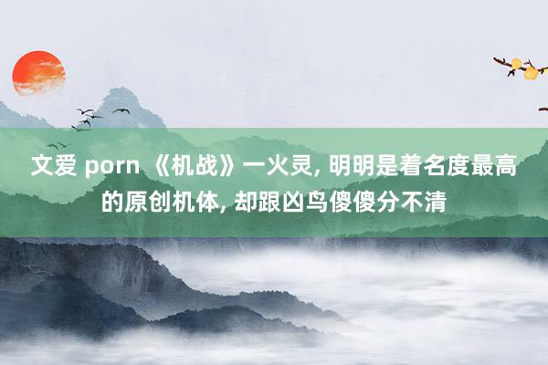 文爱 porn 《机战》一火灵， 明明是着名度最高的原创机体， 却跟凶鸟傻傻分不清