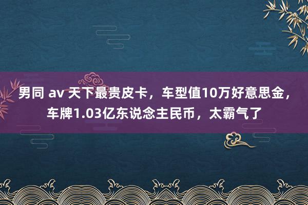 男同 av 天下最贵皮卡，车型值10万好意思金，车牌1.03亿东说念主民币，太霸气了