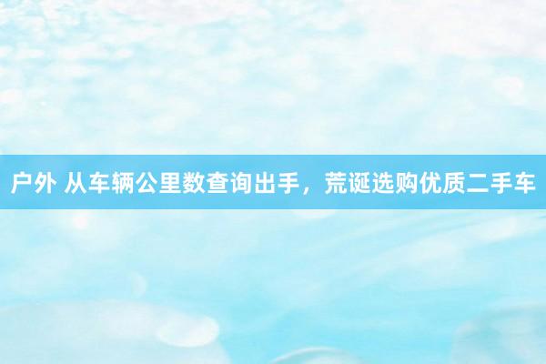 户外 从车辆公里数查询出手，荒诞选购优质二手车