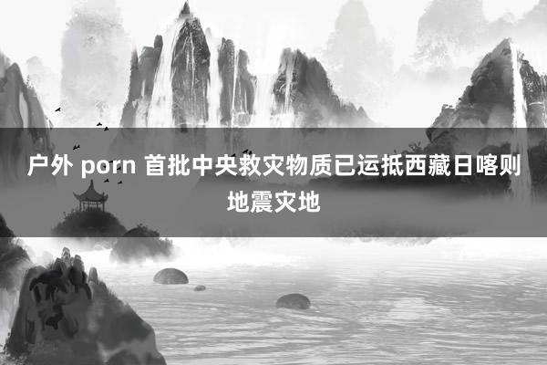 户外 porn 首批中央救灾物质已运抵西藏日喀则地震灾地