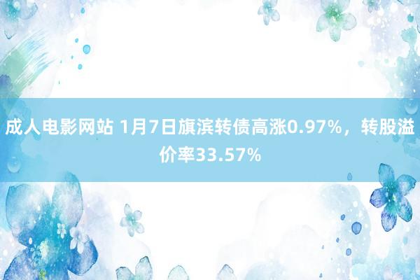 成人电影网站 1月7日旗滨转债高涨0.97%，转股溢价率33.57%