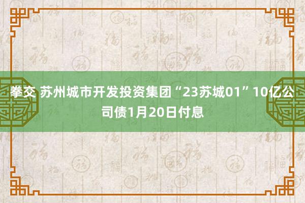 拳交 苏州城市开发投资集团“23苏城01”10亿公司债1月20日付息