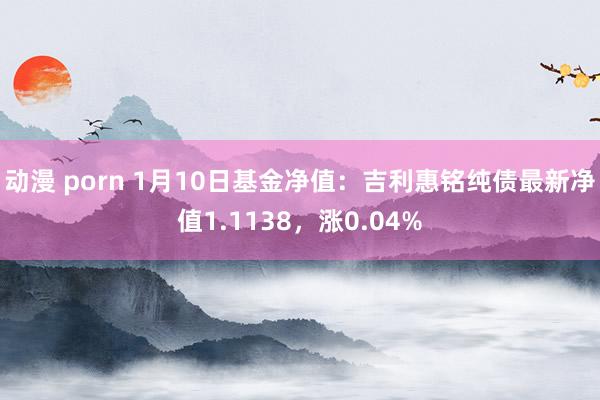 动漫 porn 1月10日基金净值：吉利惠铭纯债最新净值1.1138，涨0.04%