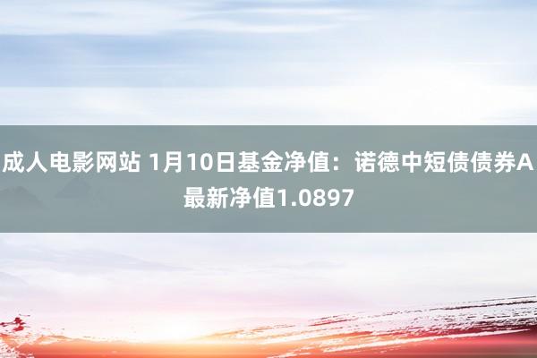 成人电影网站 1月10日基金净值：诺德中短债债券A最新净值1.0897