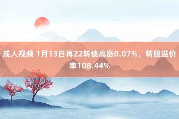 成人视频 1月13日再22转债高涨0.07%，转股溢价率108.44%