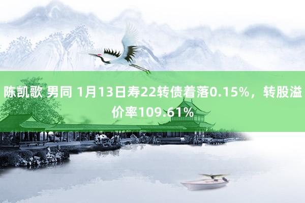 陈凯歌 男同 1月13日寿22转债着落0.15%，转股溢价率109.61%