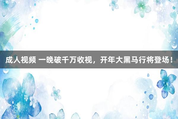 成人视频 一晚破千万收视，开年大黑马行将登场！