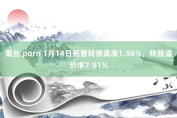 黑丝 porn 1月14日拓普转债高涨1.98%，转股溢价率7.81%