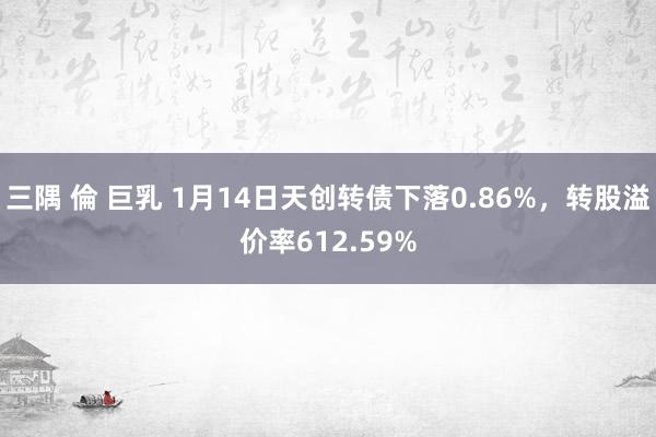 三隅 倫 巨乳 1月14日天创转债下落0.86%，转股溢价率612.59%