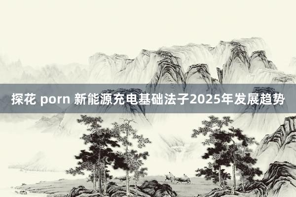 探花 porn 新能源充电基础法子2025年发展趋势