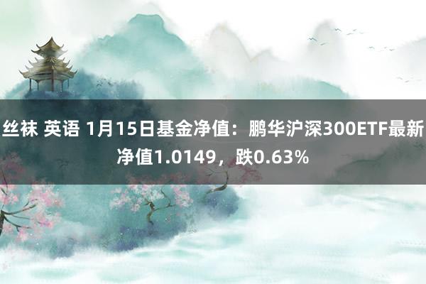 丝袜 英语 1月15日基金净值：鹏华沪深300ETF最新净值1.0149，跌0.63%